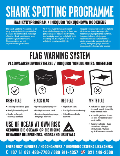 Shark Spotters flags