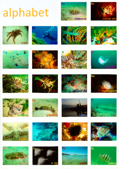 Underwater alphabet