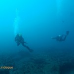 Divers on Blood Reef