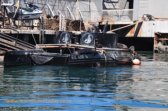 The Seal Alert boat is in disrepair