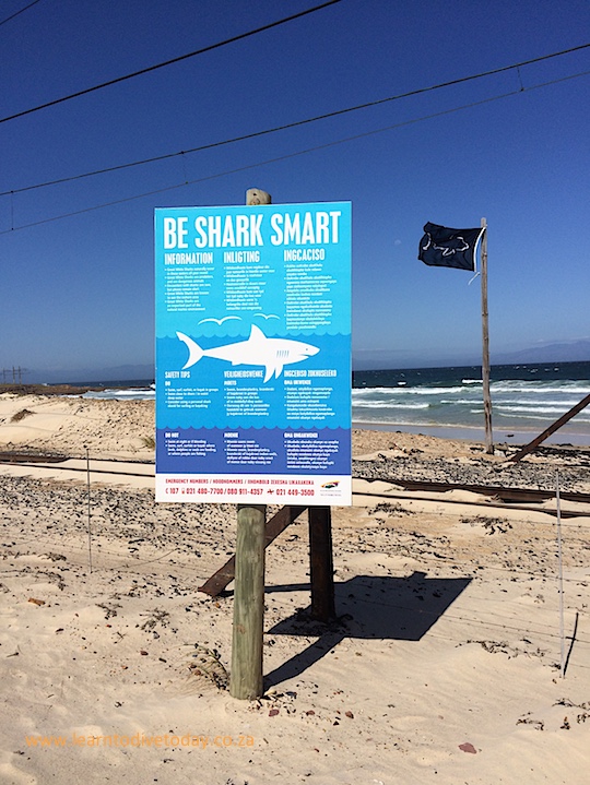 The usual Shark Spotters sign at Glencairn