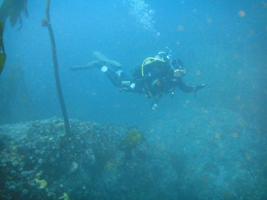 Dive sites: Vulcan Rock