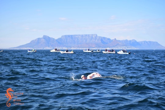 Colin swimming across Table Bay