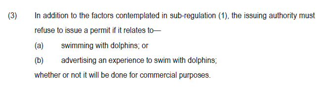 Swimming with dolphins