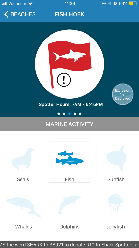 Information on marine life activity